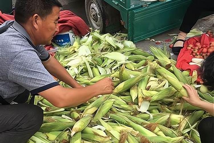 玉米涝了打什么叶面肥