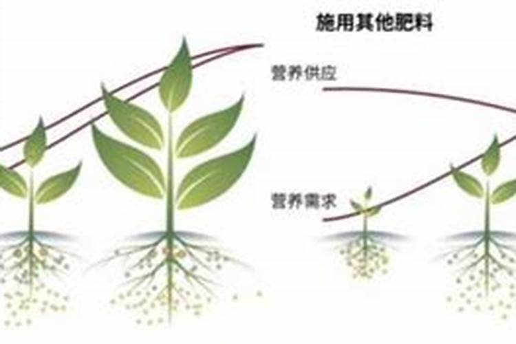 全控肥和半控肥的区别？