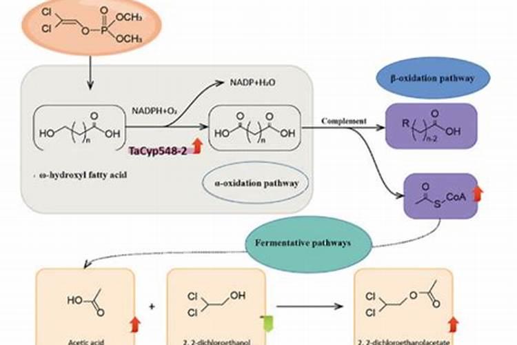 磷肥的沤制方法 关于磷肥的沤制方法