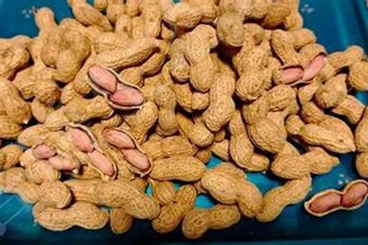 花生米埋土可做肥料吗