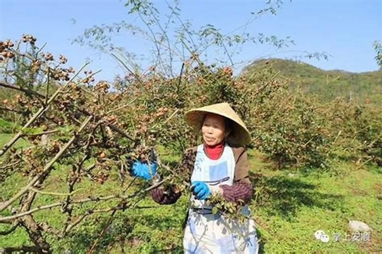 ...火爆全国的元坤药业OEM在酵素饮品加工方面有什么优势？