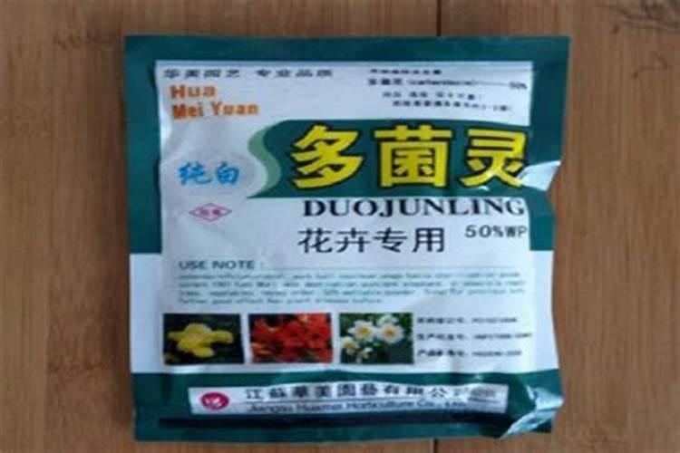 芥菜容易产生病虫害,有什么不错的防治方法呢？
