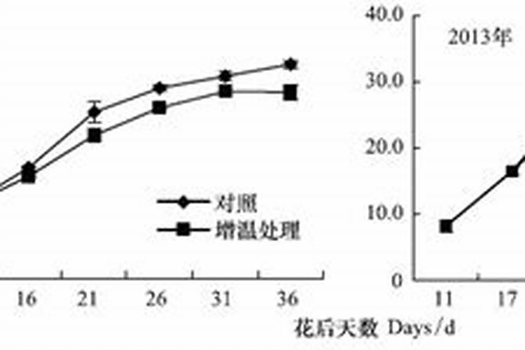 小麦打什么叶面肥高产