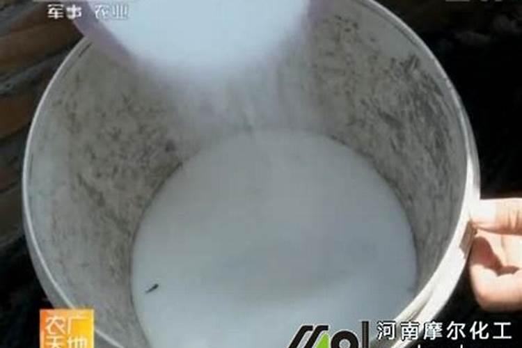 镁肥是什么肥料镁肥有哪些,镁肥的效果与功能