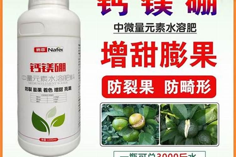 种植果树的过程中,应该如何进行果树补钙？