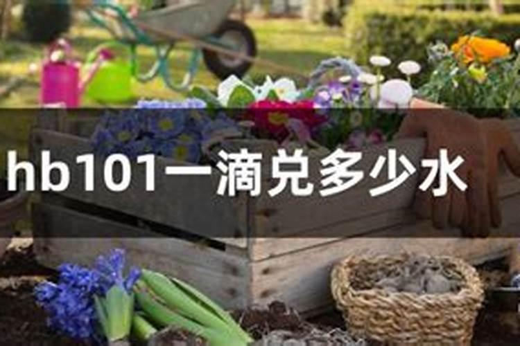 磷酸二氢钾浇兰花怎样兑水