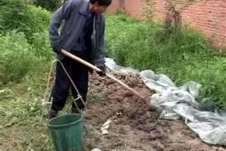 根外追肥的特点有哪些