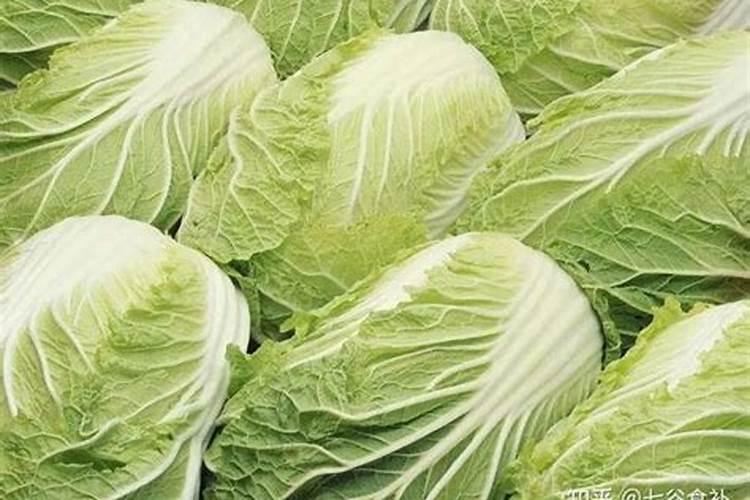 大白菜用什么复合肥