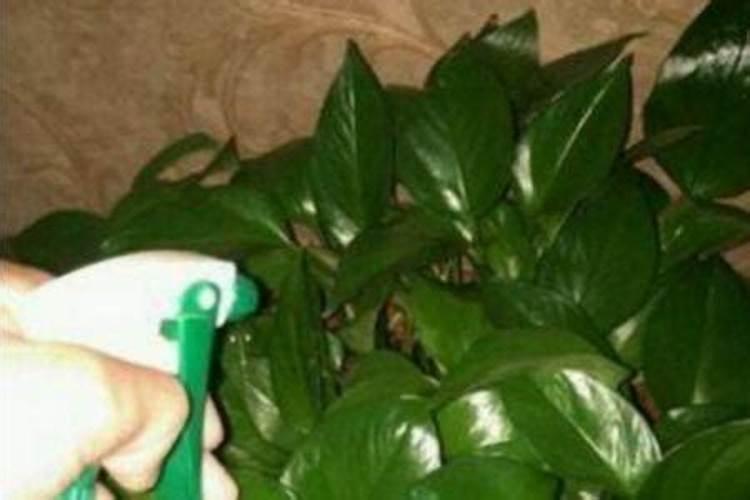 水稻氮磷钾施用比例在多少最佳