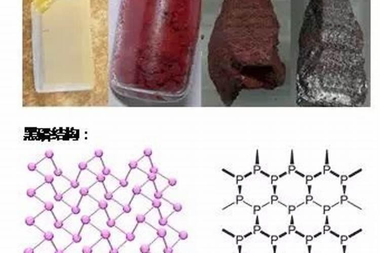 磷肥对果树起什么作用