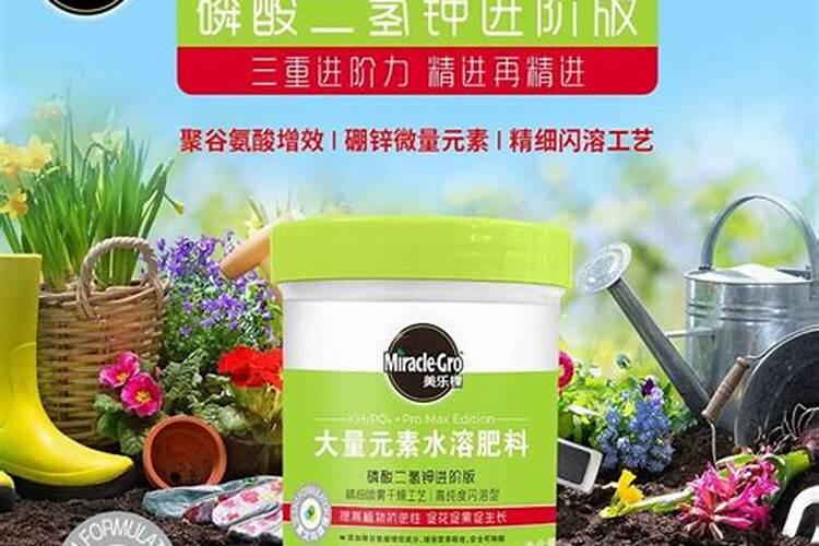 钾肥如何使用在花上