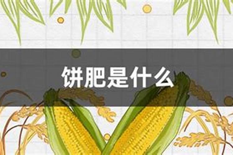 种植香瓜到了膨果期,该掌握哪些护理技巧？