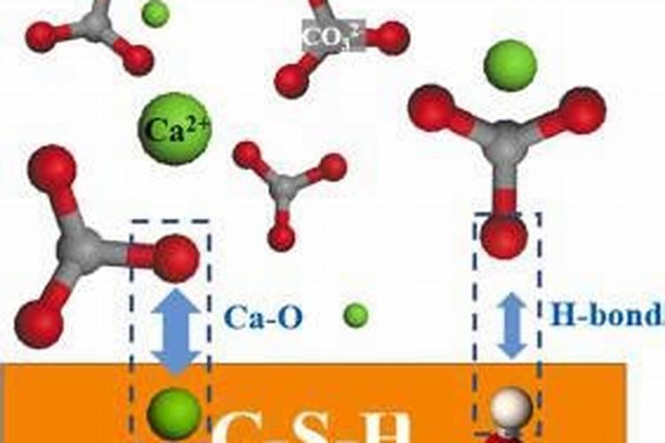 橄榄树秋季可以施尿素吗？