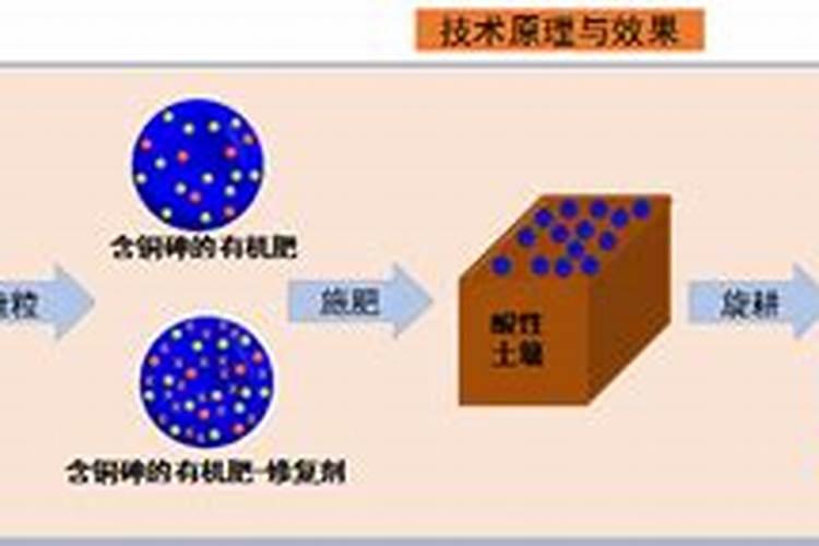 羊粪发酵做有机肥料用什么发酵菌剂好？