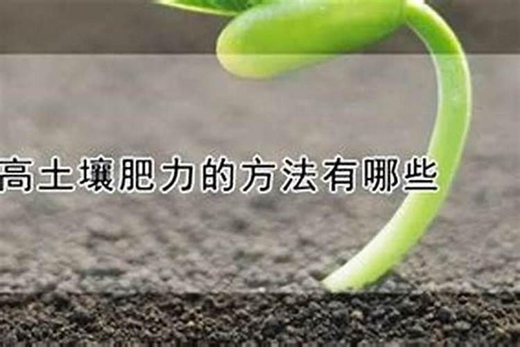 土壤肥力的维持和提升方法有哪些？