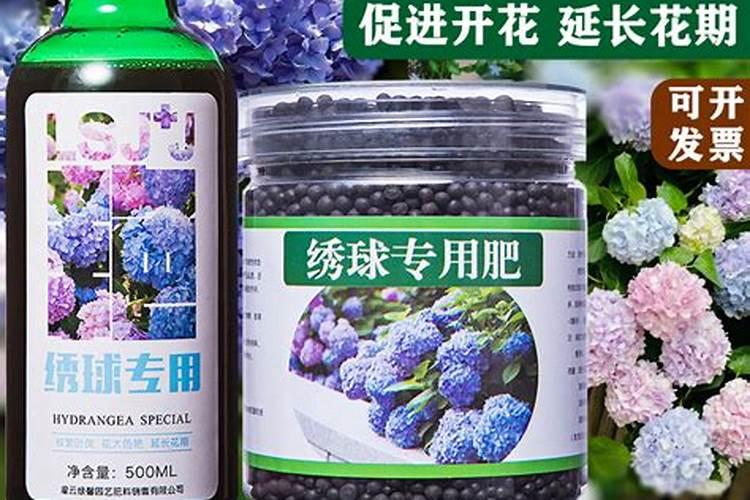 刚换盆的绣球小苗可以施水溶肥吗