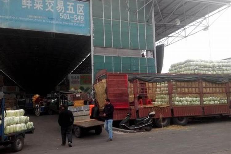 江苏蒲公英种植基地在哪里