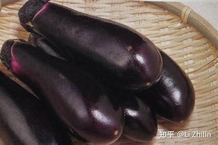 茄子有什么营养价值