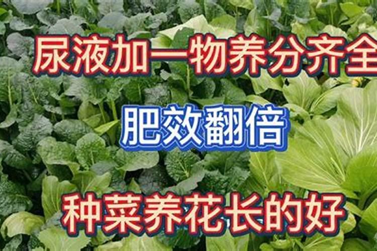 脲铵氮肥的肥效期多长