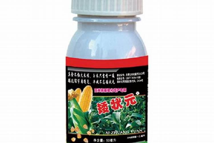 玉米喷施叶面肥效果怎么样