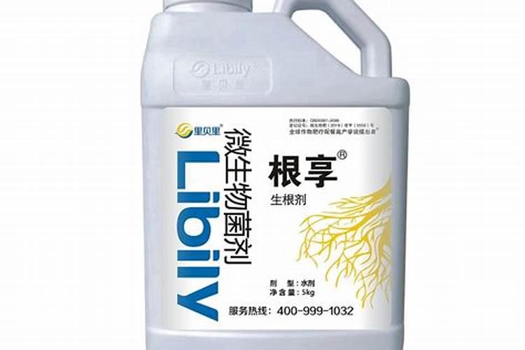种植沙糖桔怎样使用生根剂