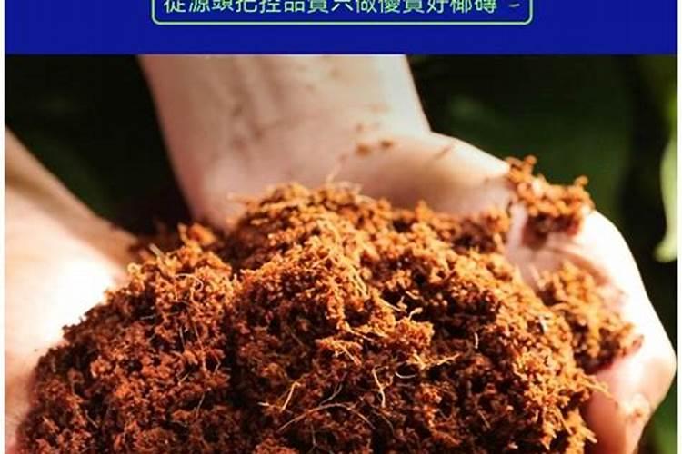 椰糠怎么配营养土椰糠可以直接种植物吗