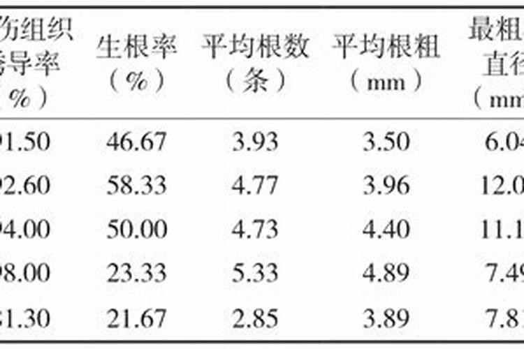促进扦插生根的五种方法