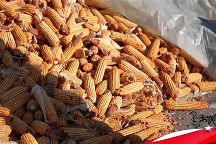 高产玉米化肥配方