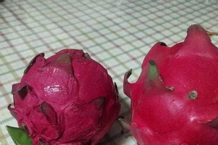 绿萝花喜欢什么肥料(养护绿萝用什么肥料比较好)