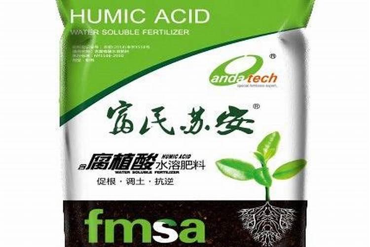 怎么在海缸的底缸上只做个藻缸？用什么藻？