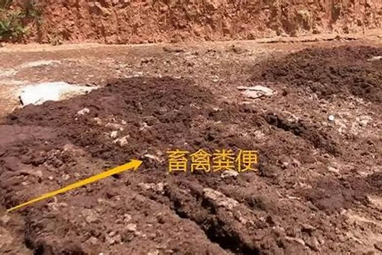 青岛明月蓝海生物科技有限公司的明月海藻肥简介