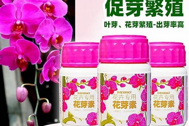 吡唑醚菌酯、苯醚甲环唑、三唑酮、己唑醇、芸苔素能一起打吗？