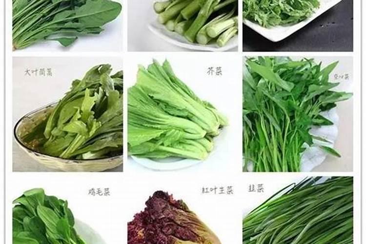 芹菜幼苗怎样施肥,施什么肥好