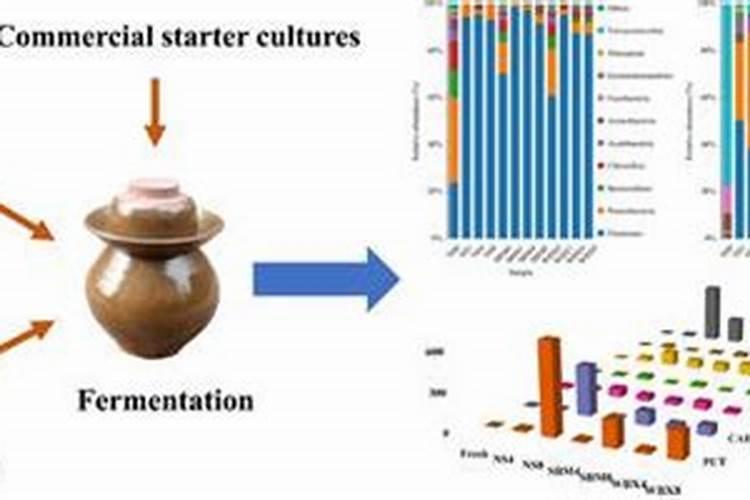 鱼虾发酵后含什么成分