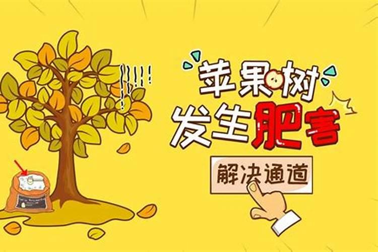 榆树下山桩的栽培技巧,根部怎么处理