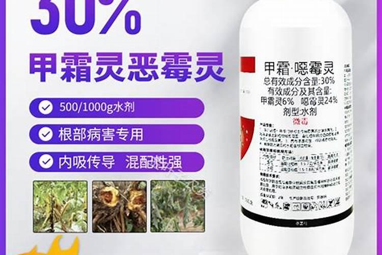 什么药可以养花杀菌 土壤杀菌药一般都用什么药好