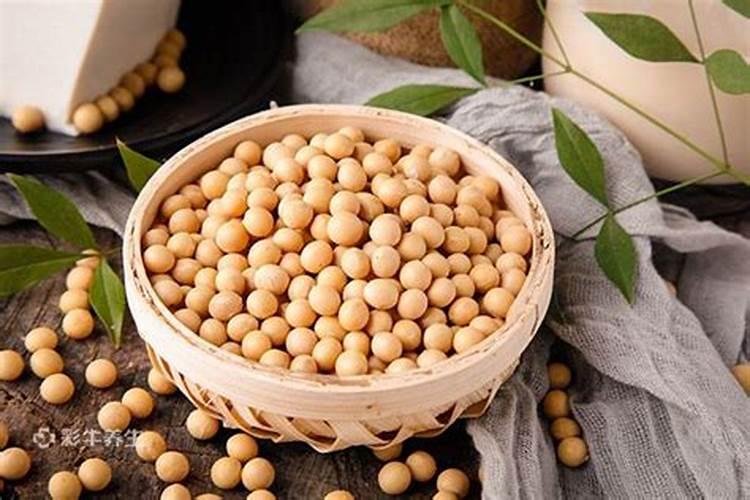 黄豆的营养成分含量表 黄豆中营养成分详细的含量