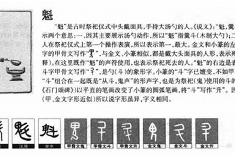 盆栽玫瑰枝干发黑了怎么回事