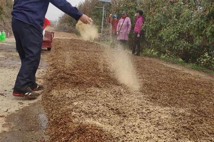 都说烂菜叶可以提高土壤肥力,那么直接把菜叶放在土上面就可以了吧？