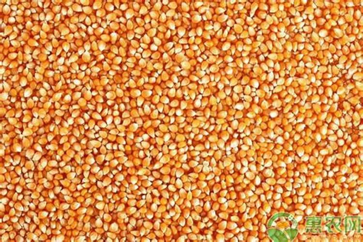 红四方玉米专用复合肥多少钱一吨？