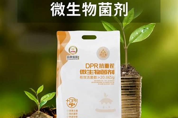 芸苔素浓度多少 月季