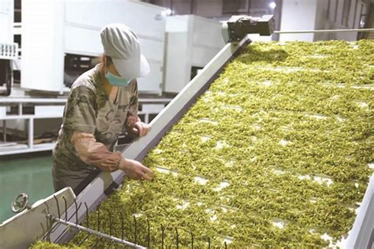 茶叶专用有机肥料