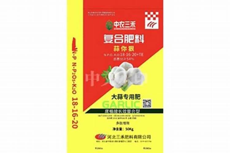 胡萝卜的种子催芽方法