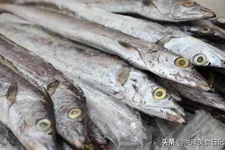 什么鱼蛋白质含量高？