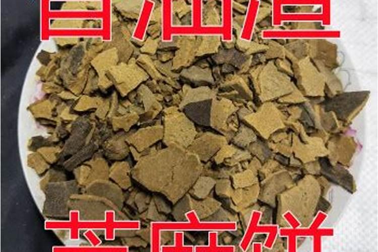 饼肥快速发酵的方法