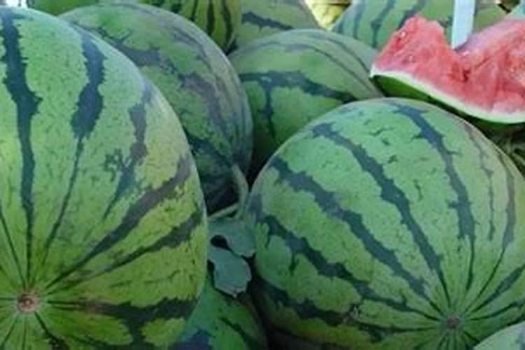西瓜怎么用肥料