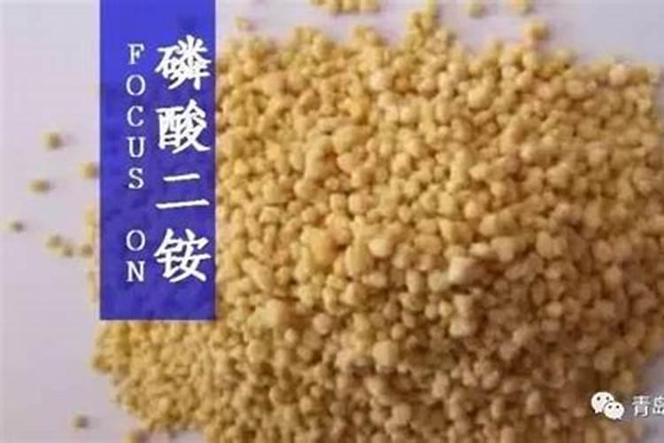 硝酸磷肥适合哪些作物