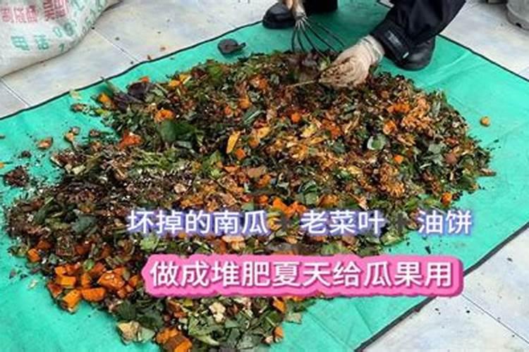 烂菜叶子可以做肥料吗