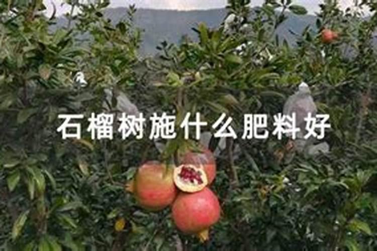 复合肥,氮肥,磷肥,钾肥有什么区别