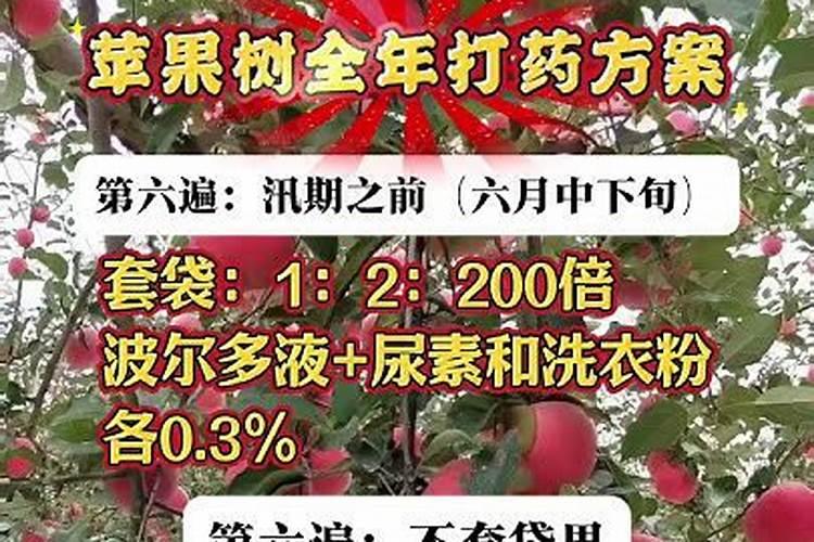 桃树叶面肥如何用磷酸二氢钾